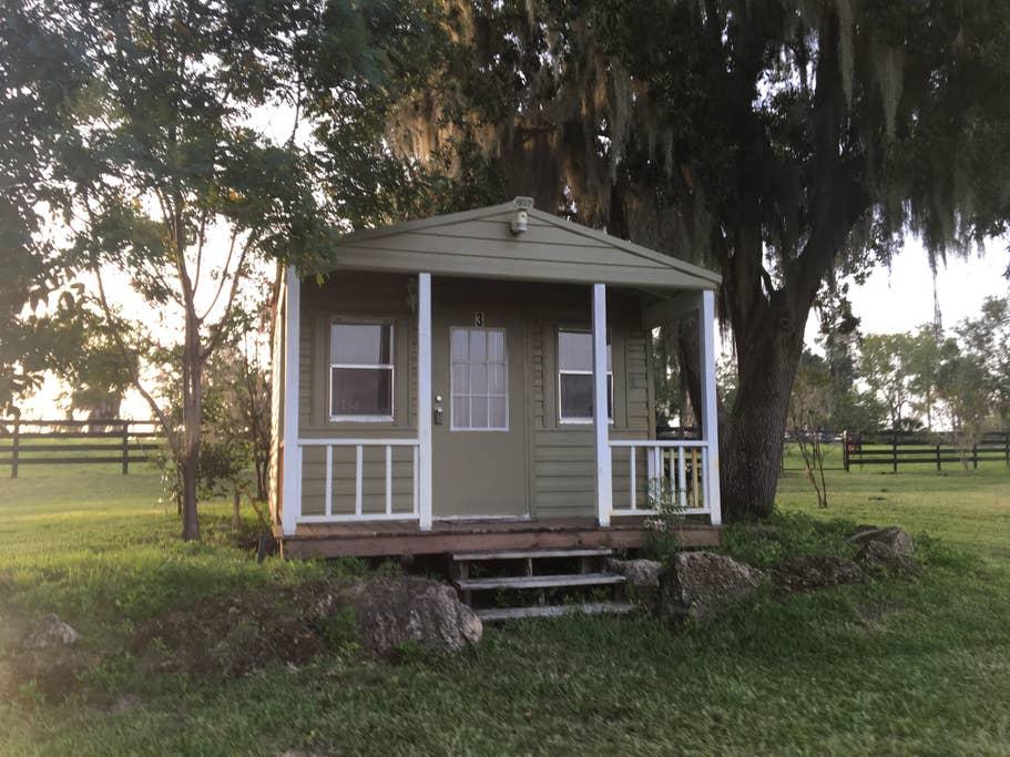 Pet Friendly Vacation Rentals in Ocklawaha, FL BringFido