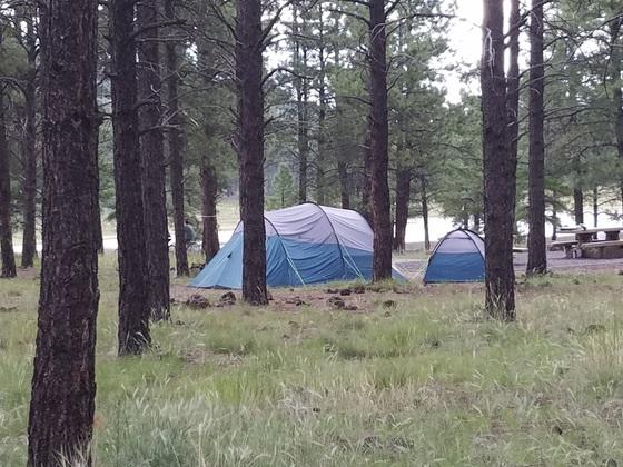 Wallpaper Kaibab Lake Group Area Campground Pet Policy HD