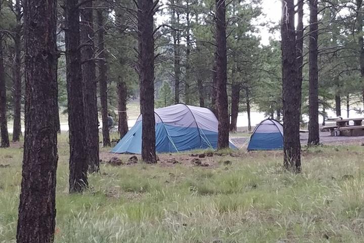 Download Kaibab Lake Group Area Campground Pet Policy For Free Wallpaper Kaibab Lake Group Area Campground Pet Policy Free HD