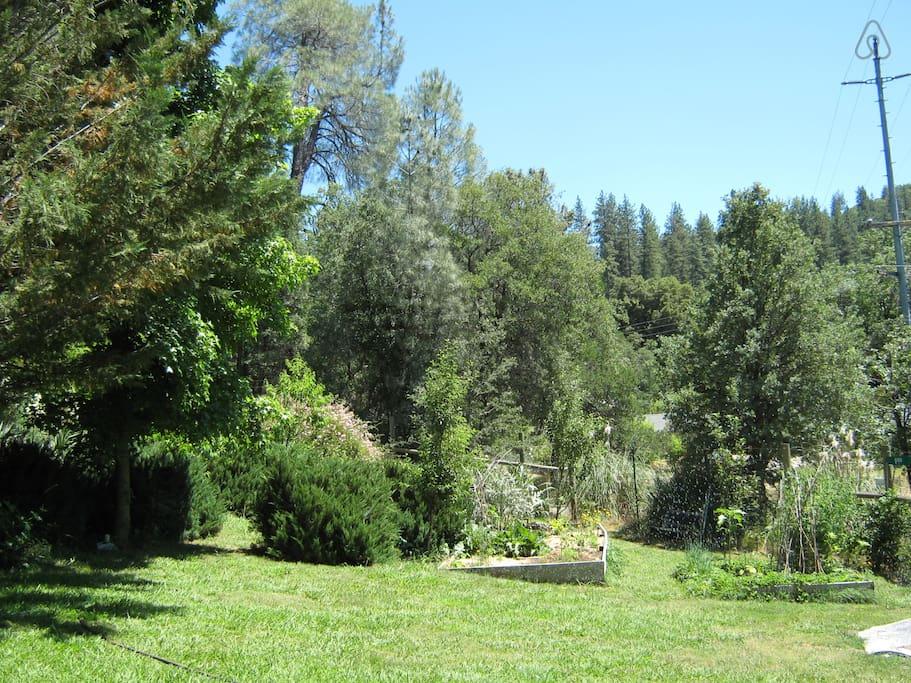 Pet Friendly Dobbins Airbnb Rentals