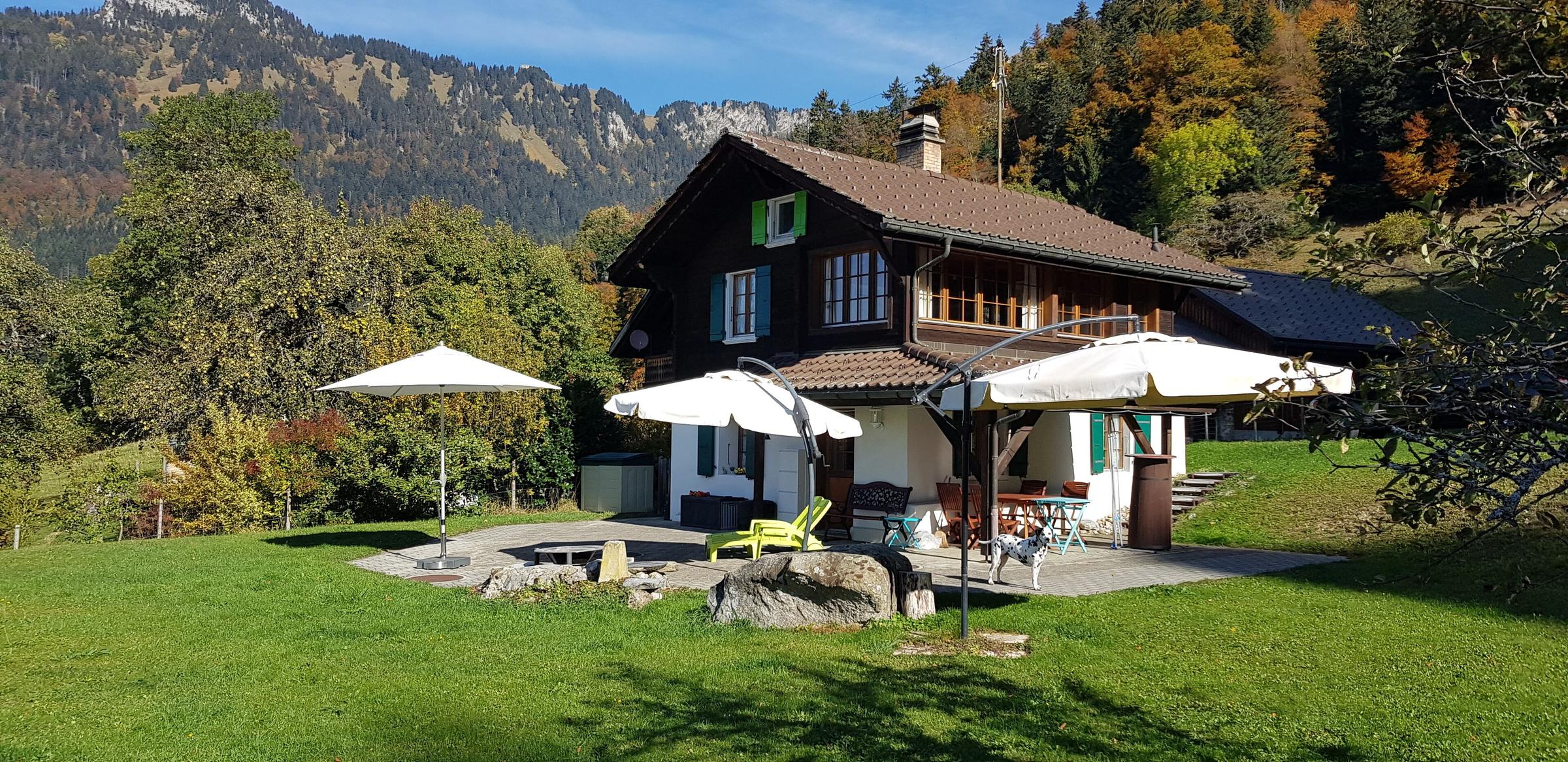 Pet Friendly Chalet with Alps & Lake Panorama Views