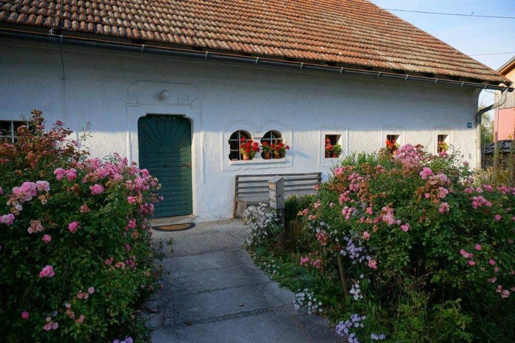 Pet Friendly Krems Airbnb Rentals