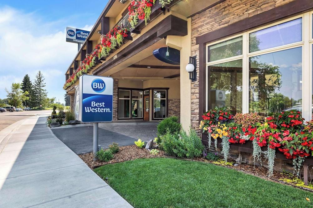 Pet Friendly Best Western Driftwood Inn