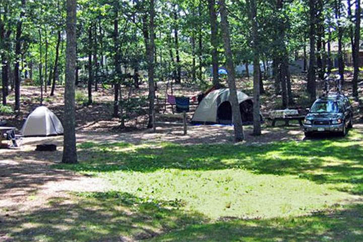 Pet Friendly Atlantic Oaks Campground
