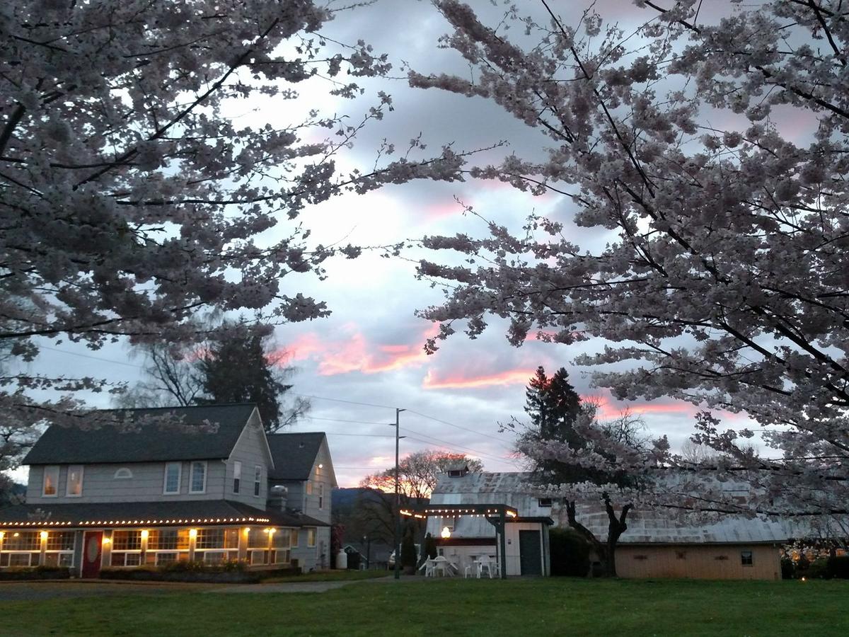 Scappoose Creek Inn Pet Policy