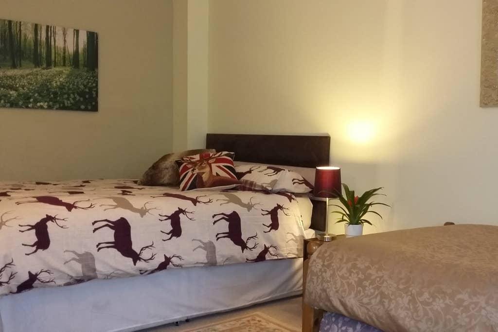Pet Friendly Plymouth Airbnb Rentals
