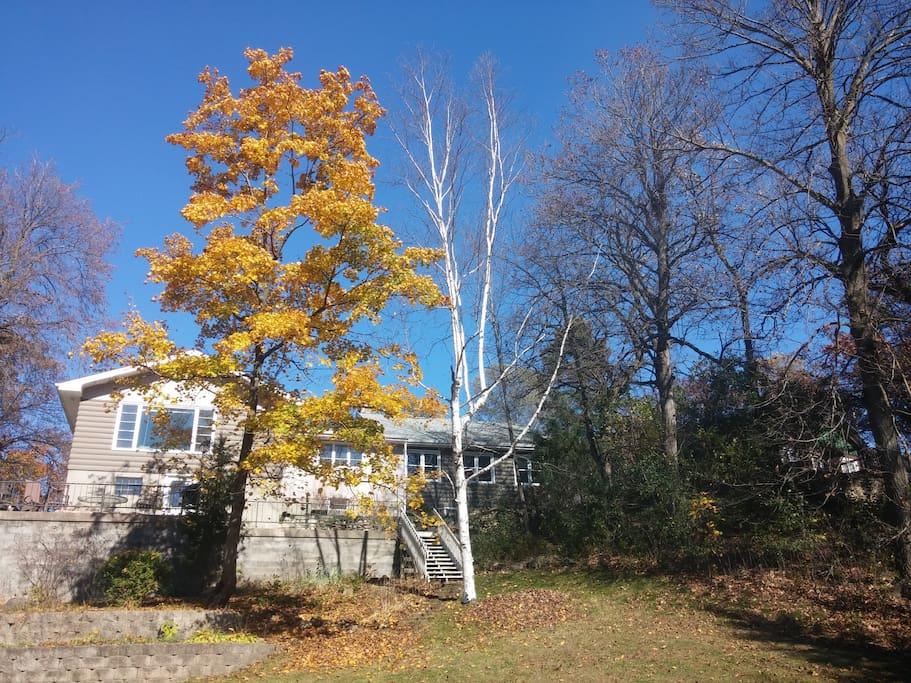 Kansasville Airbnb Rentals Pet Policy