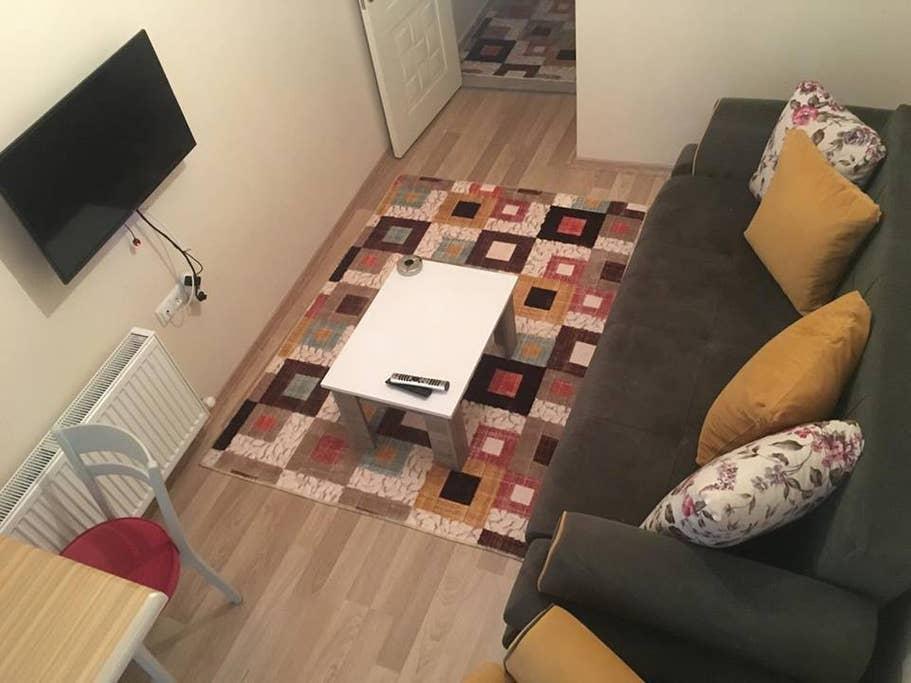 Pet Friendly Vacation Rentals In Turkey Bringfido