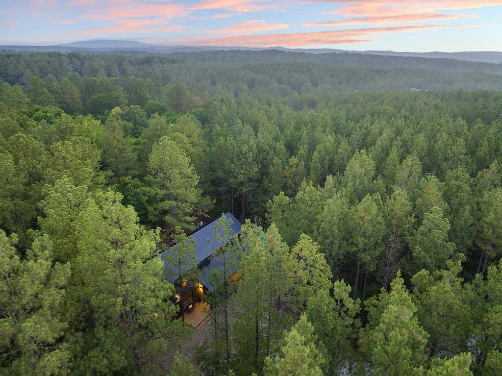 YOLO Cabin Pet Policy