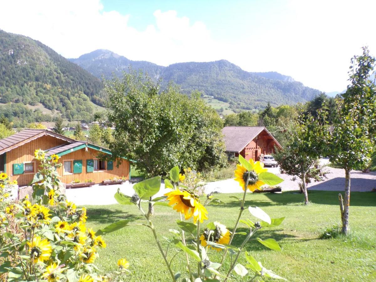 Pet Friendly Chalet Esprit Savoyard