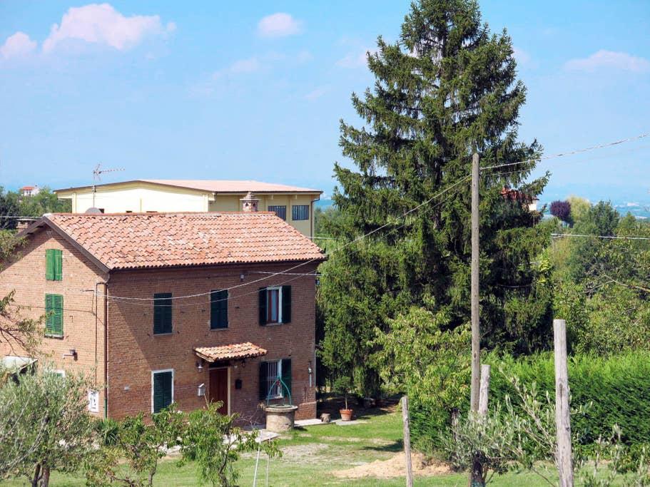 Pet Friendly Oviglio Airbnb Rentals