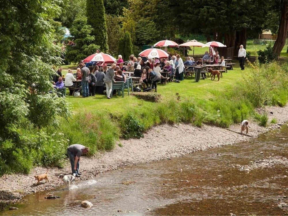 Anchor Inn Pet Policy