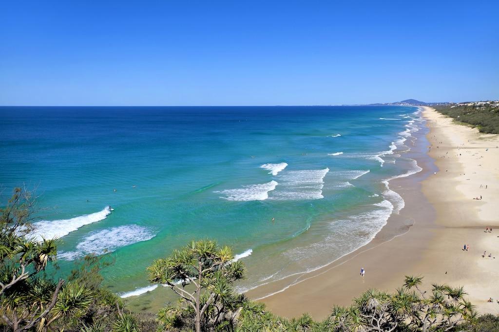 2 Ten Corona Pet Policy