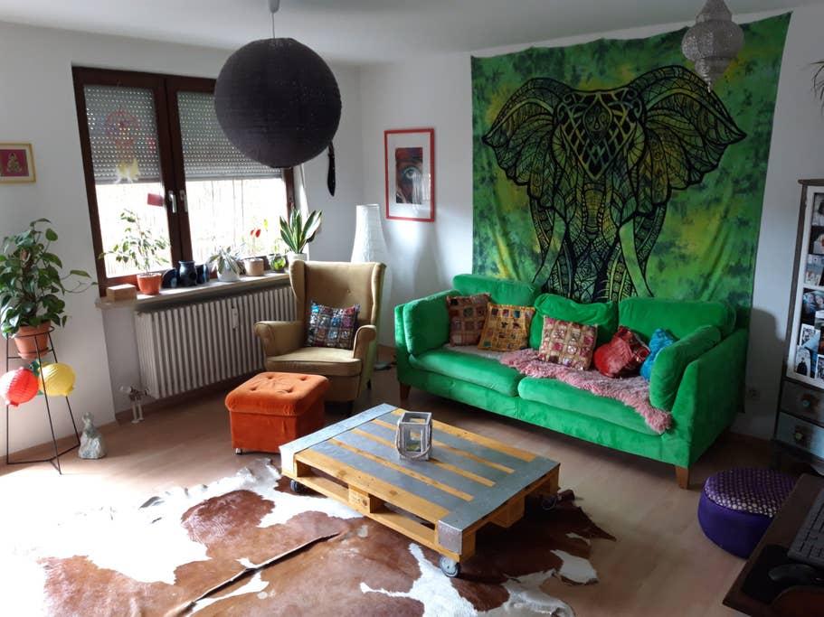 Pet Friendly Passau Airbnb Rentals