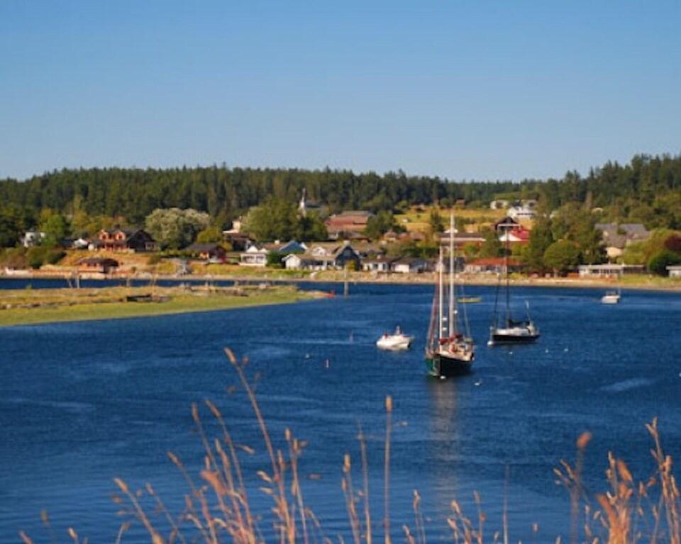 Sunrise Cliff House Pet Policy