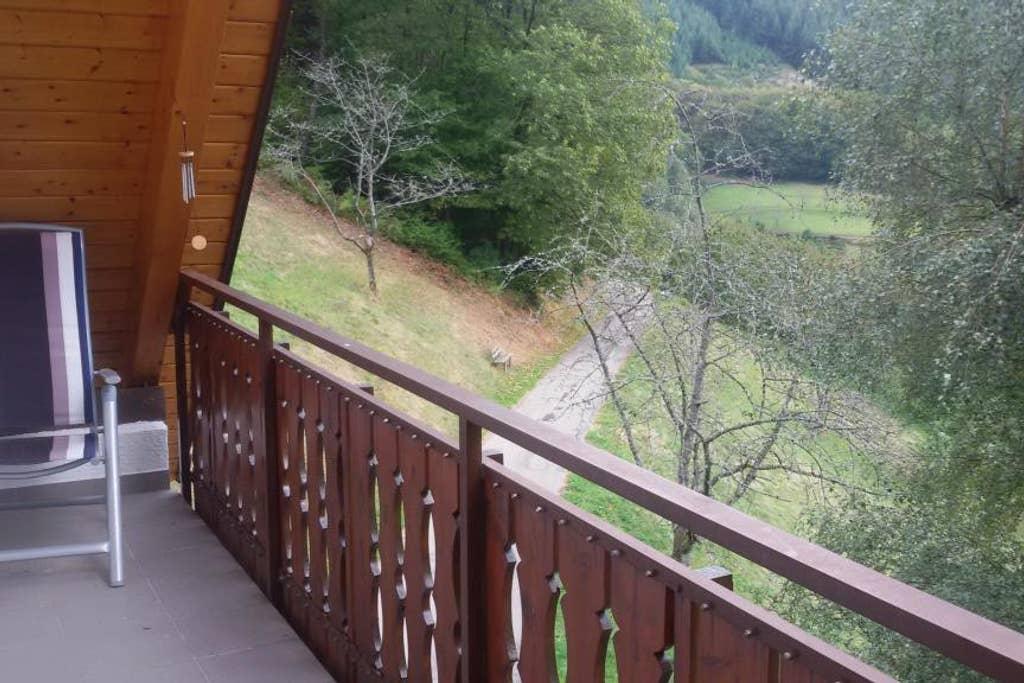 Pet Friendly Bad Peterstal Griesbach Airbnb Rentals