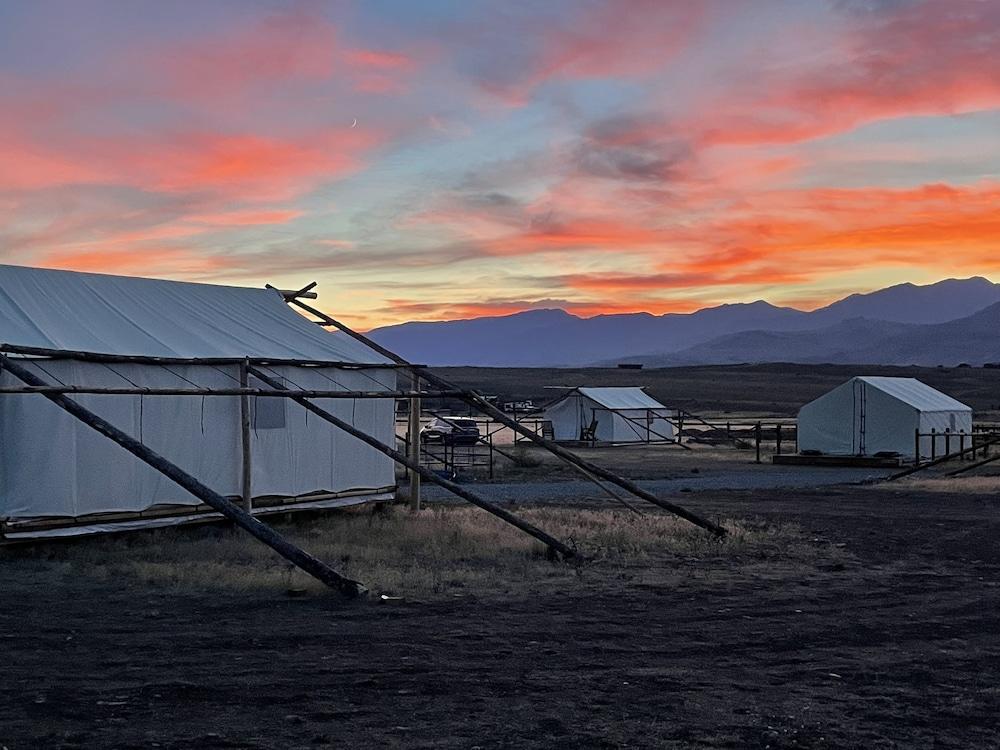 Pet Friendly Yellowstone Dreamin Camp
