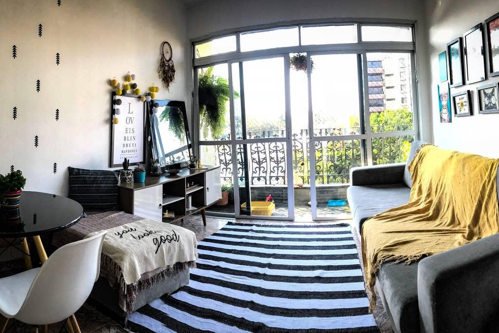 Pet Friendly Sao Jose Dos Campos Airbnb Rentals