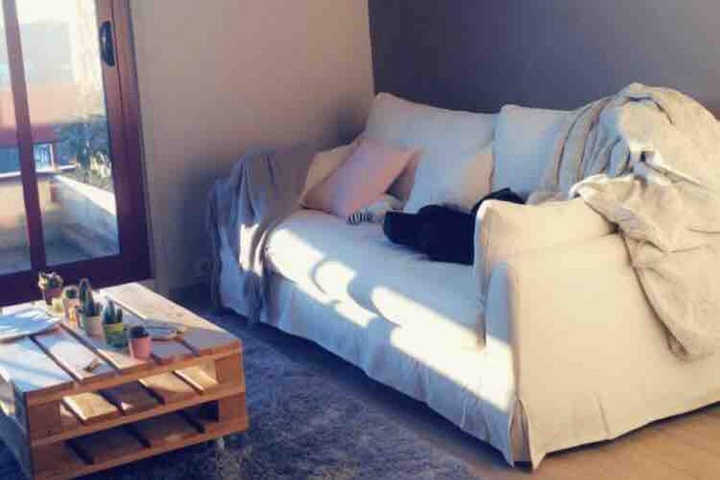 Pet Friendly Montigny Airbnb Rentals