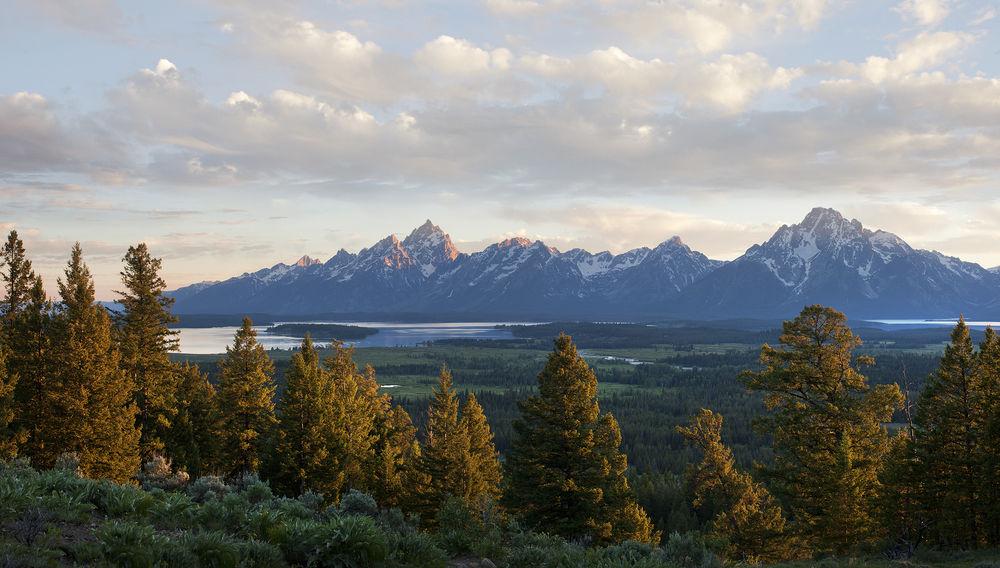 Jackson Lake Lodge Pet Policy