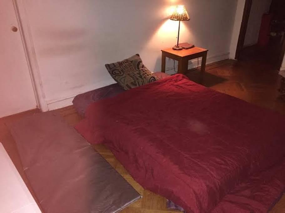 Pet Friendly Hotels In Hoboken Nj Bringfido