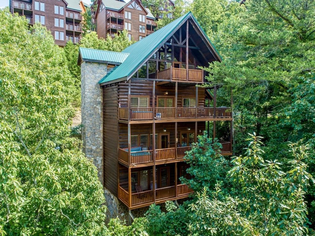 Black Bear Cub Cades Cove Pet Policy