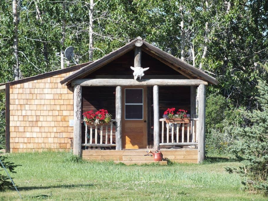 Pet Friendly Hotels In Waterton Park Ab Bringfido