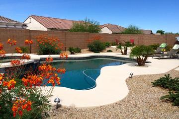 Pet Friendly Vacation Rentals In Sun City Az Bringfido