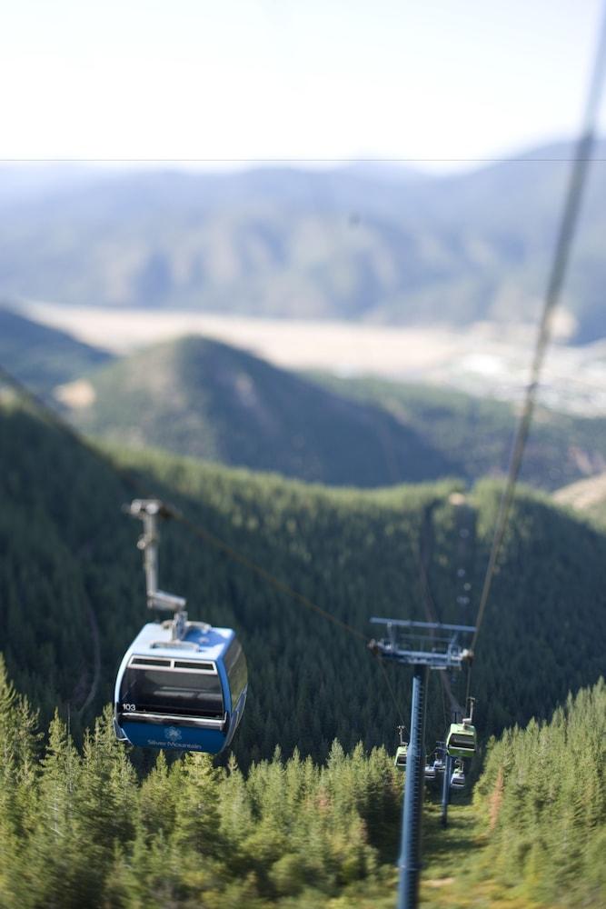 se permiten perros en silver mountain resort