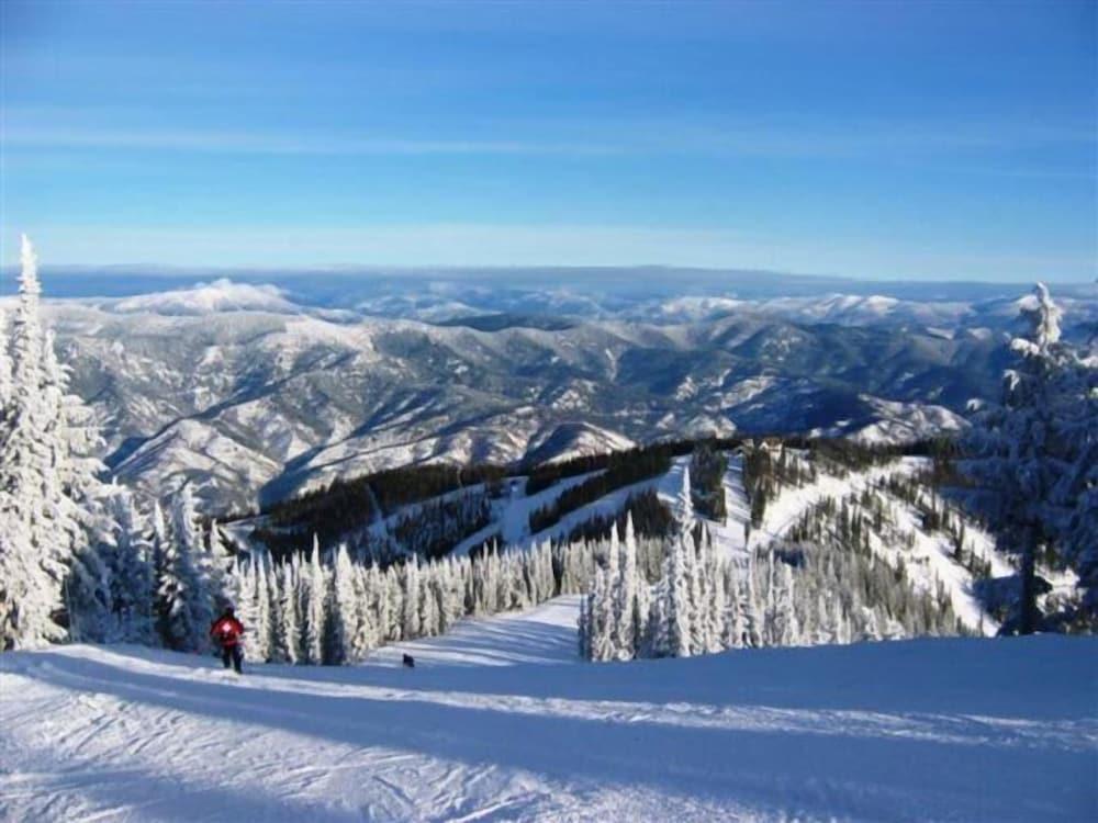 se permiten perros en silver mountain resort