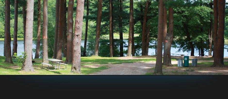 Pet Friendly Campgrounds In Connecticut Bringfido