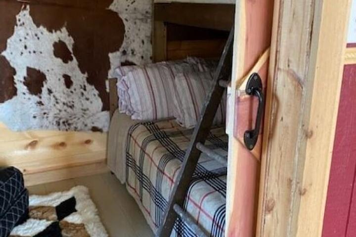 Pet Friendly Flash Lodge Add-On Cabin-Pamela's Diamond