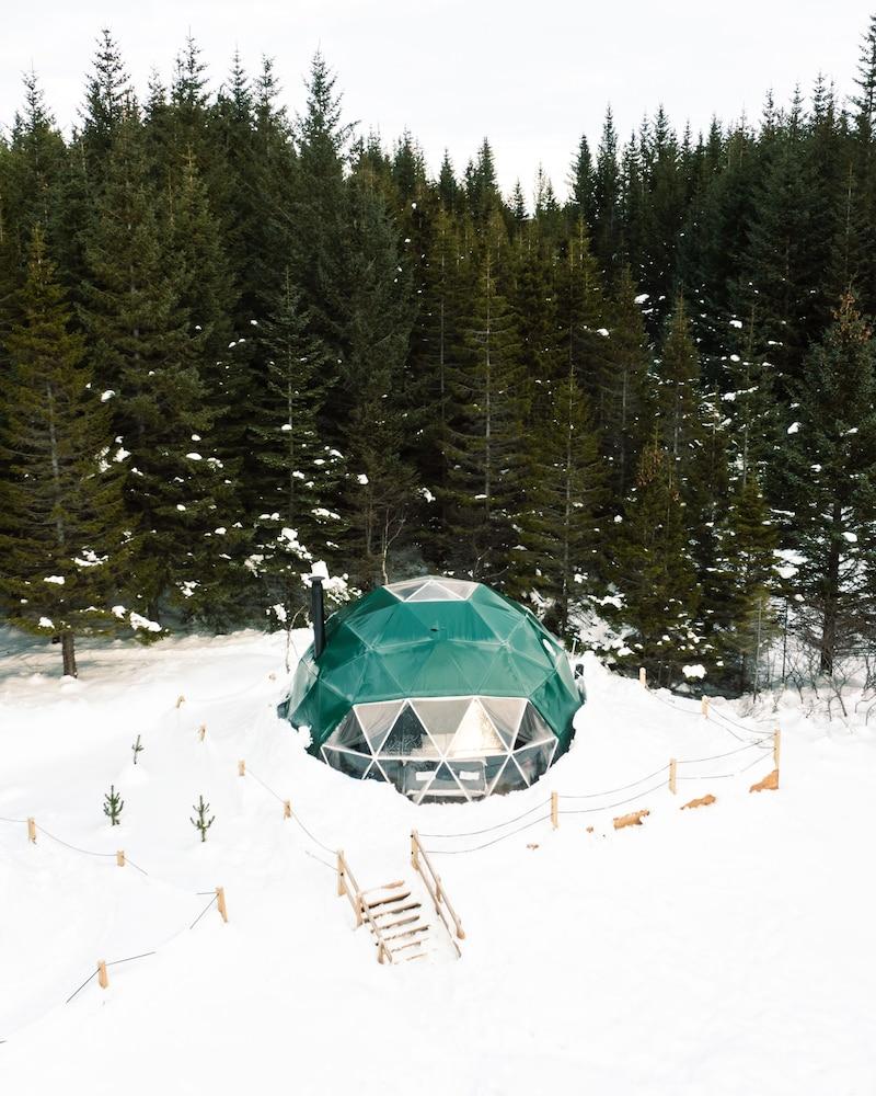 Pet Friendly Golden Circle Domes Glamping Experience