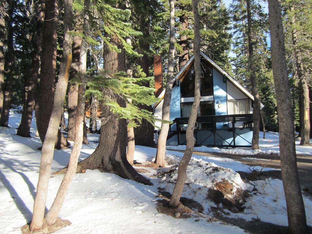 Pet Friendly Vacation Rentals In Mammoth Lakes Ca Bringfido