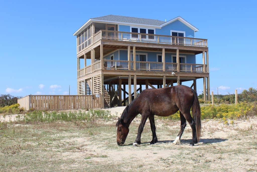 Pet Friendly Knotts Island Airbnb Rentals