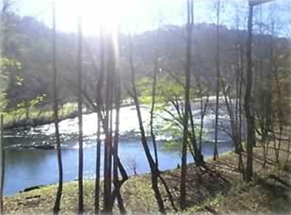 Mountain Cabin On The Hiawassee River Pet Policy