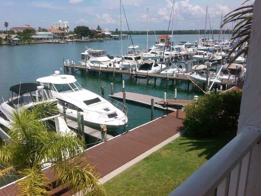Pet Friendly Clearwater Airbnb Rentals