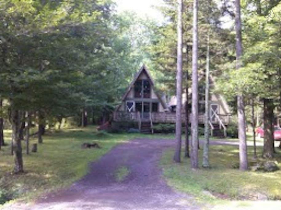 Hunter Mountain Airbnb Rentals Pet Policy