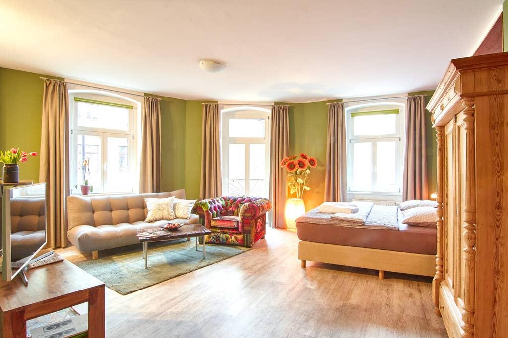 Pet Friendly Dresden Airbnb Rentals