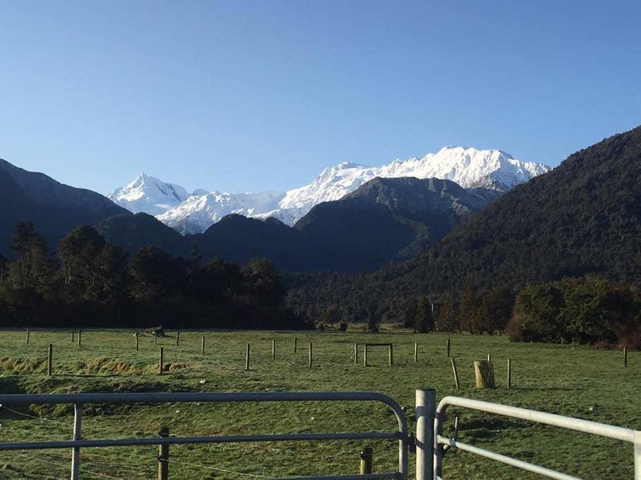 Pet Friendly Franz Josef Glacier Airbnb Rentals