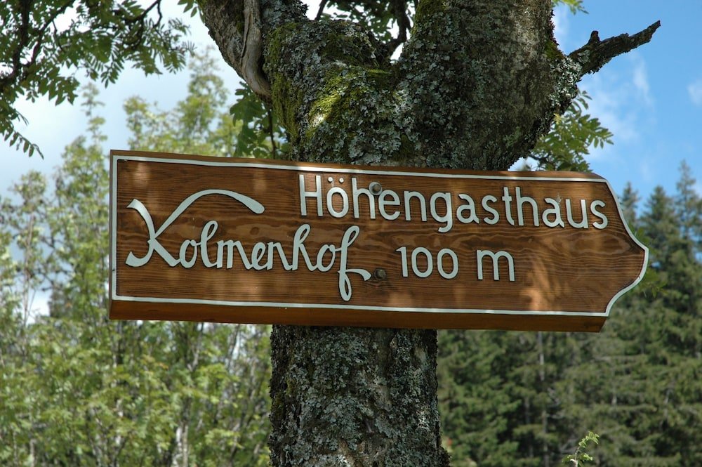 Hiking
