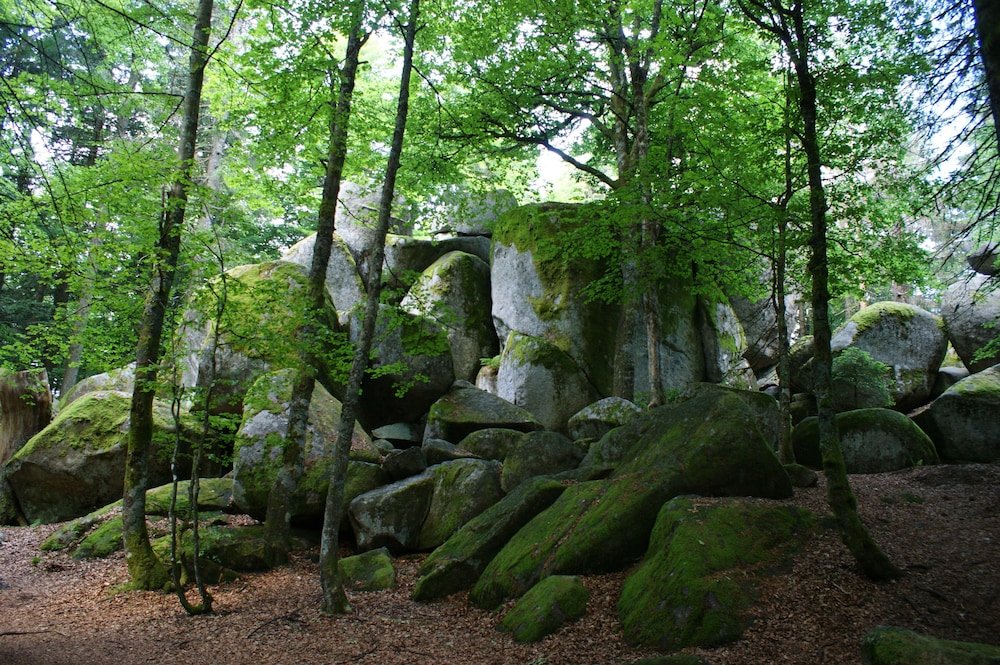 Hiking