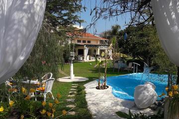 Pet Friendly Hotels In Bodrum Tr Bringfido