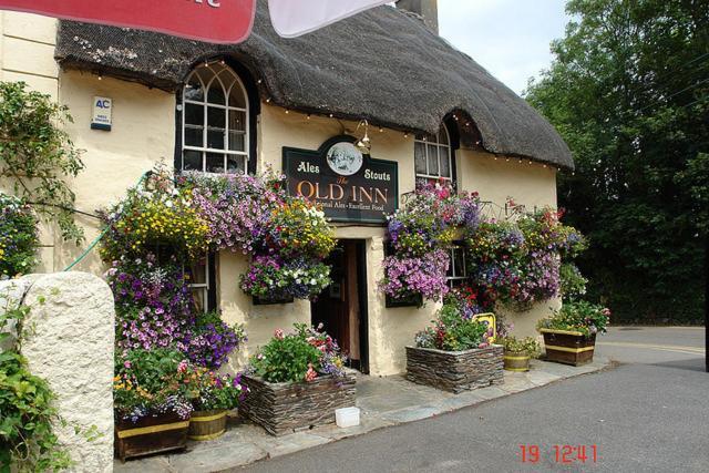 Pet Friendly The Old Inn