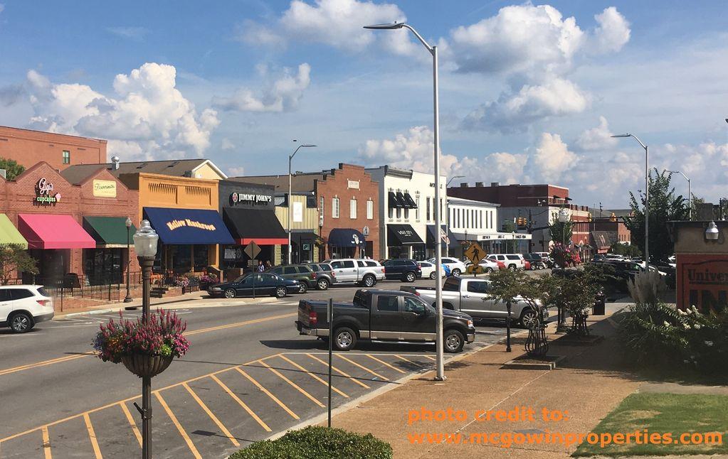 Pet Friendly Hotels In Auburn Al Bringfido