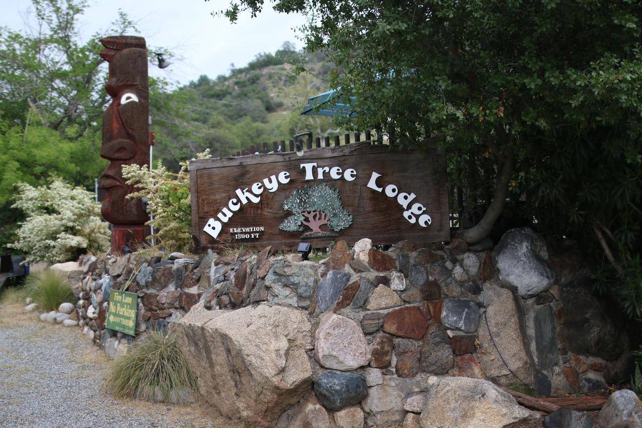 Buckeye Tree Lodge Pet Policy