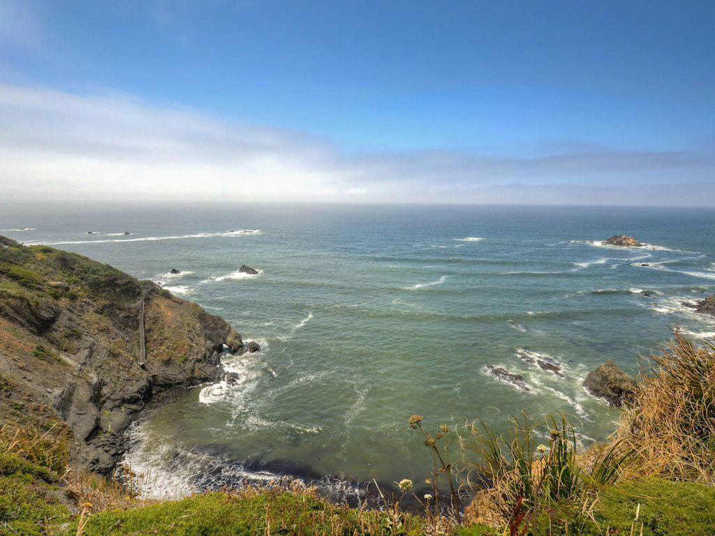 Moonstar Cottage Pet Policy