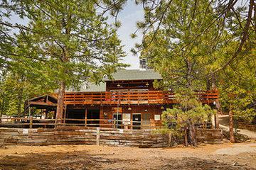 Pet Friendly Hotels In Idyllwild Ca Bringfido