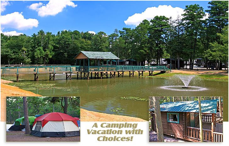 Wading pines deals