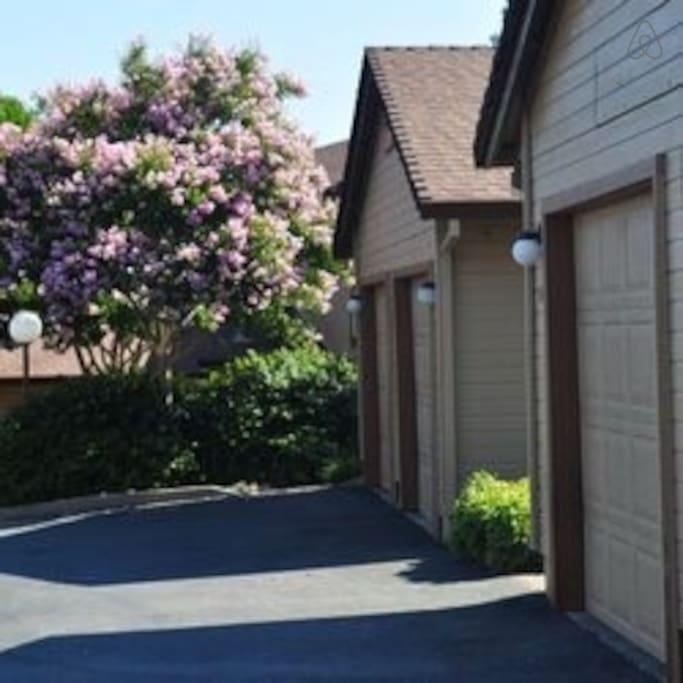 Redding Airbnb Rentals Pet Policy